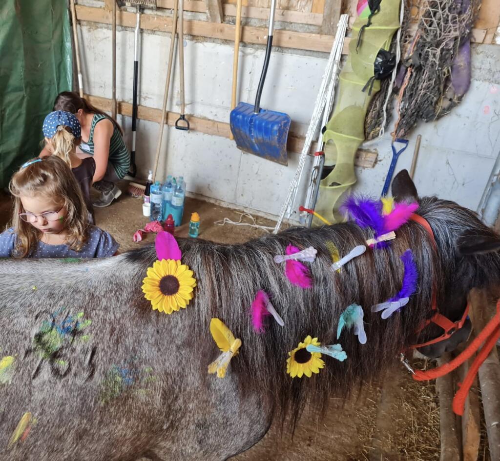 Bunter Pferde­nachmittag